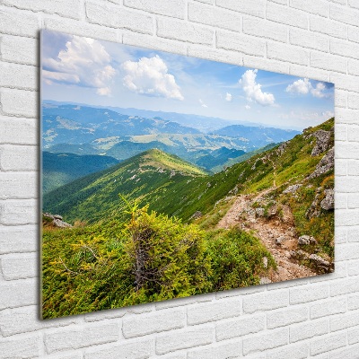 Acrylic wall art Green hills