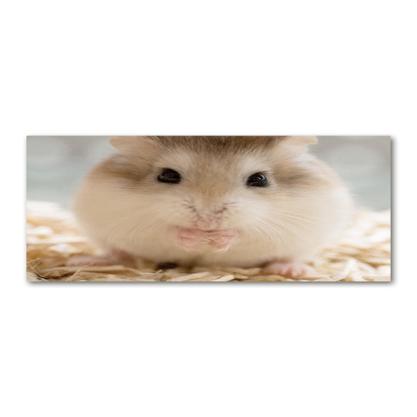 Print on acrylic Hamster