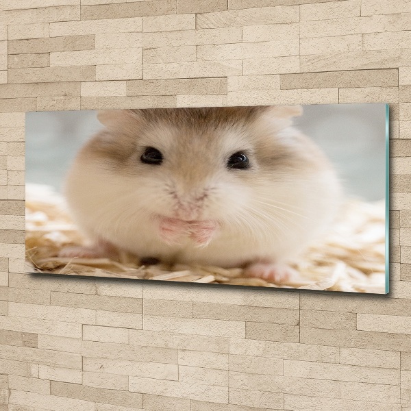 Print on acrylic Hamster