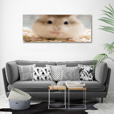 Print on acrylic Hamster