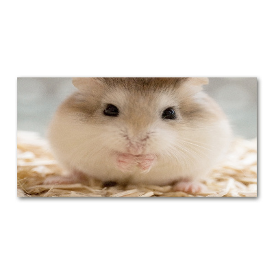 Print on acrylic Hamster