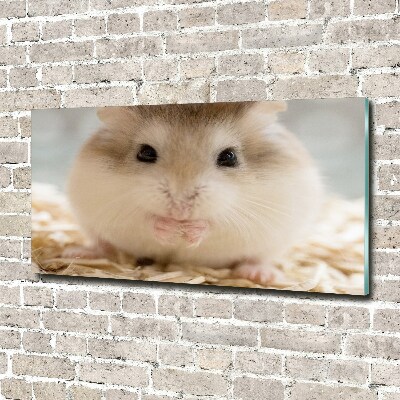 Print on acrylic Hamster