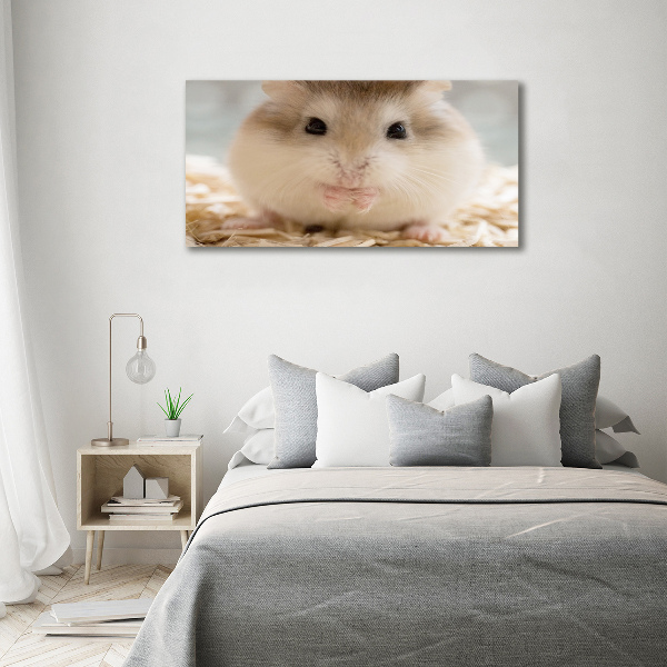 Print on acrylic Hamster