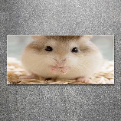 Print on acrylic Hamster