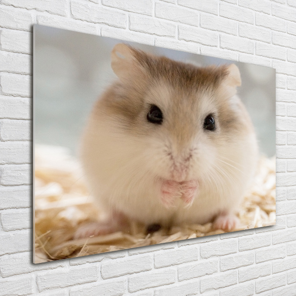 Print on acrylic Hamster