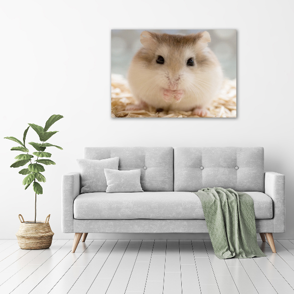 Print on acrylic Hamster