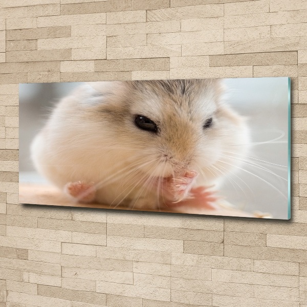 Print on acrylic Hamster