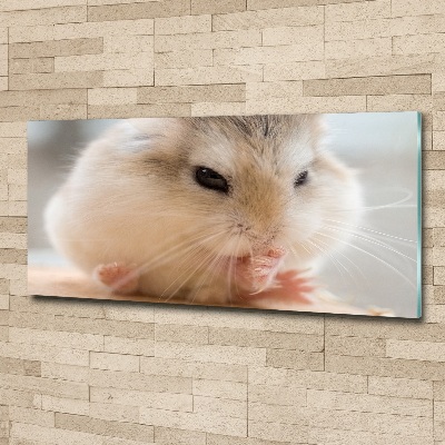 Print on acrylic Hamster