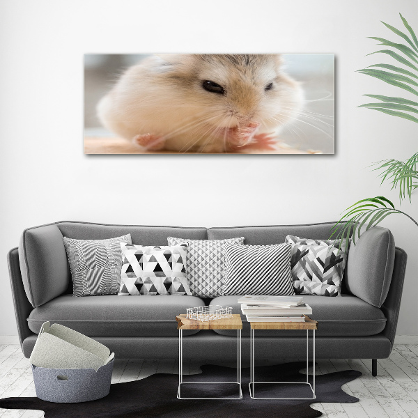 Print on acrylic Hamster