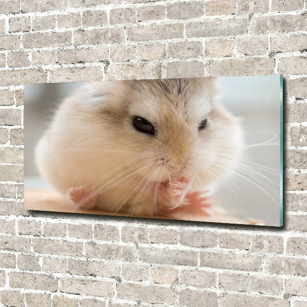 Print on acrylic Hamster