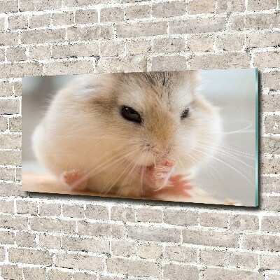 Print on acrylic Hamster