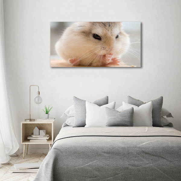 Print on acrylic Hamster