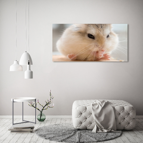 Print on acrylic Hamster