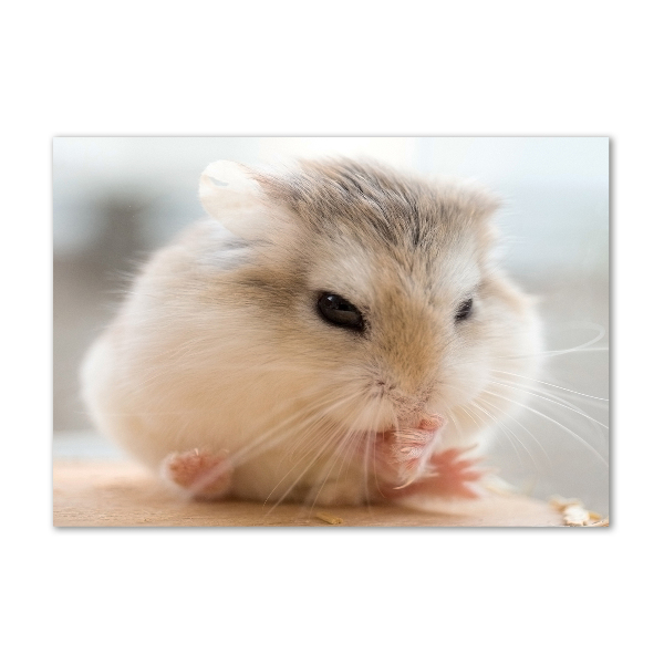 Print on acrylic Hamster