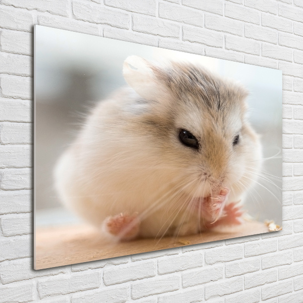 Print on acrylic Hamster