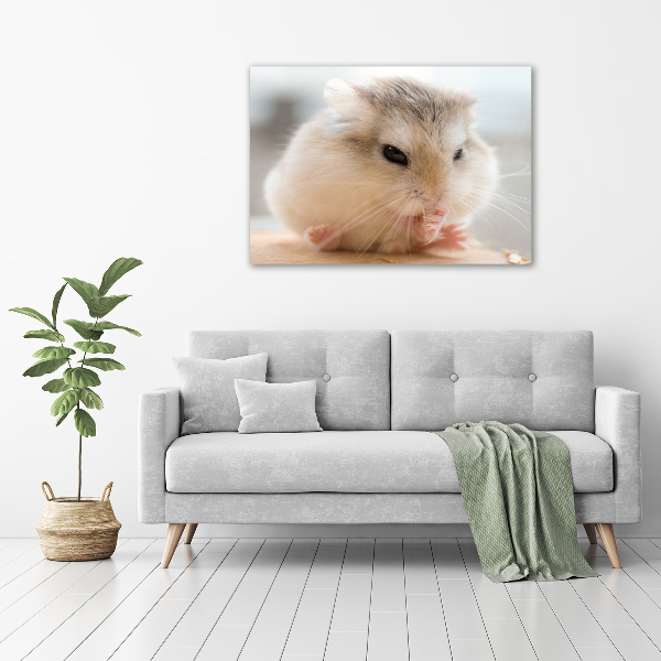 Print on acrylic Hamster