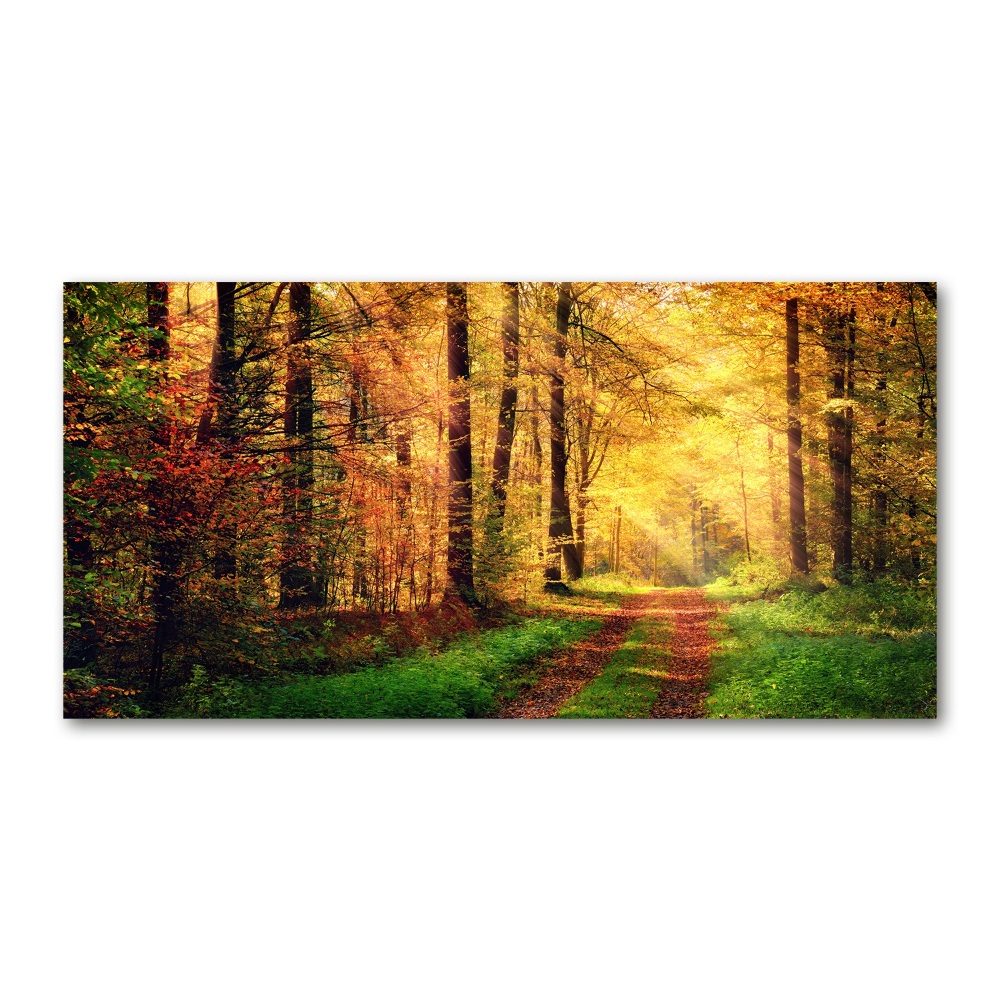 Wall art acrylic Forest in autumn