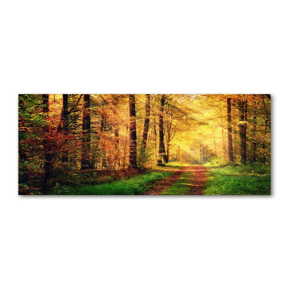 Wall art acrylic Forest in autumn