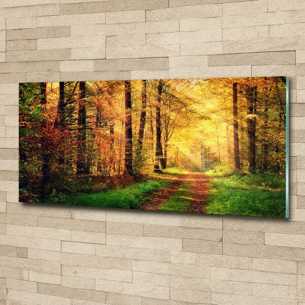 Wall art acrylic Forest in autumn