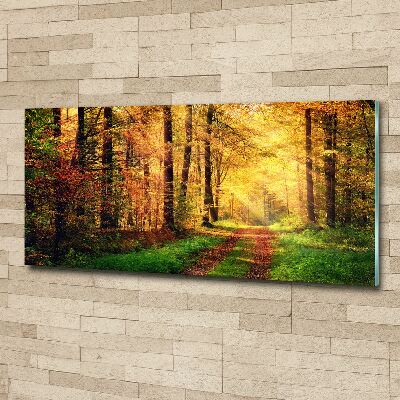 Wall art acrylic Forest in autumn