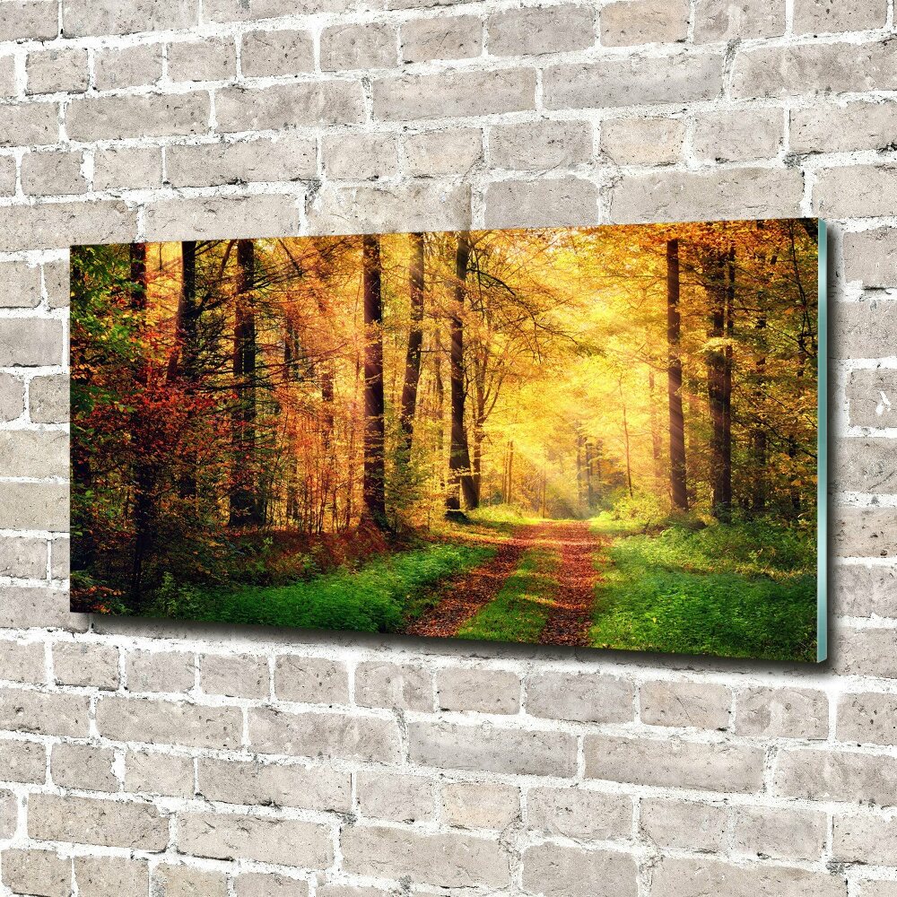 Wall art acrylic Forest in autumn