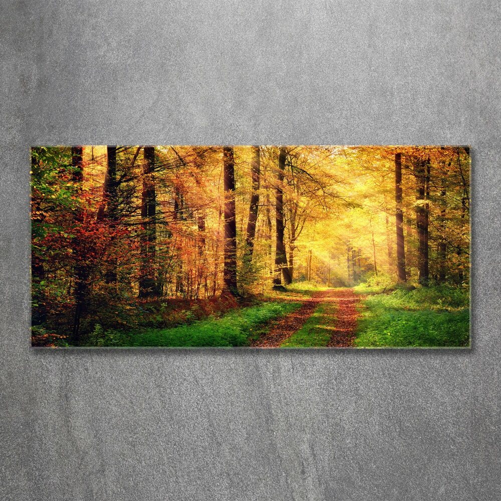 Wall art acrylic Forest in autumn