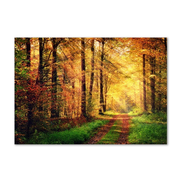 Wall art acrylic Forest in autumn