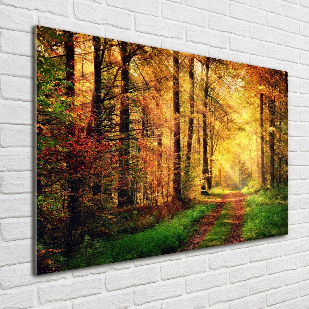 Wall art acrylic Forest in autumn