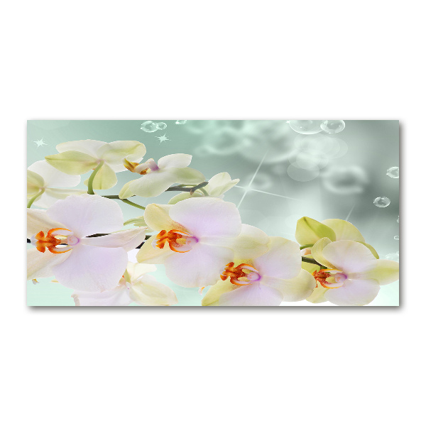 Wall art acrylic White orchid