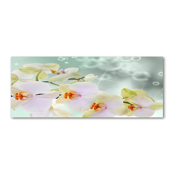 Wall art acrylic White orchid