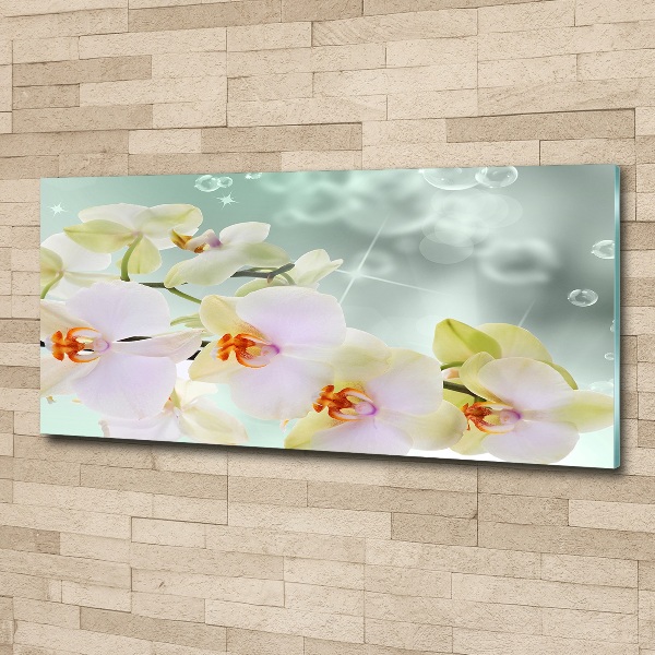 Wall art acrylic White orchid