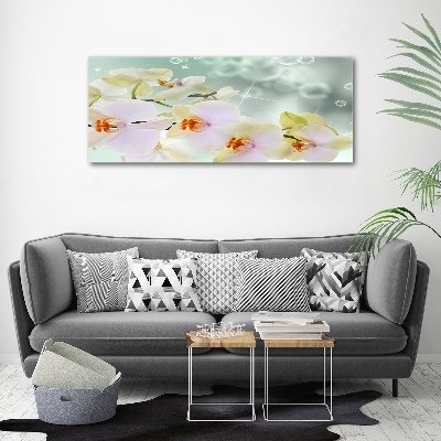 Wall art acrylic White orchid