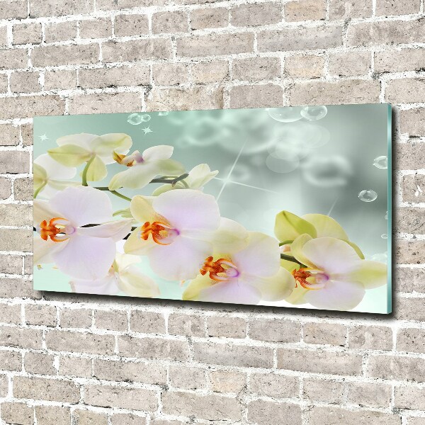 Wall art acrylic White orchid