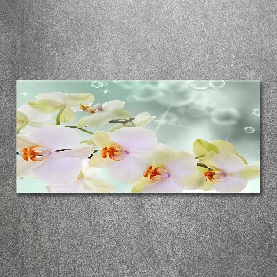 Wall art acrylic White orchid