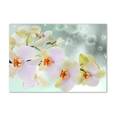 Wall art acrylic White orchid