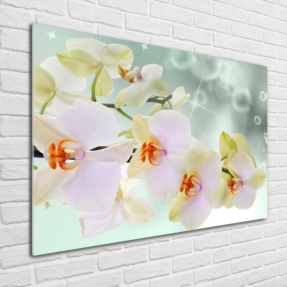 Wall art acrylic White orchid