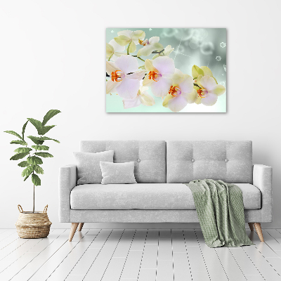 Wall art acrylic White orchid