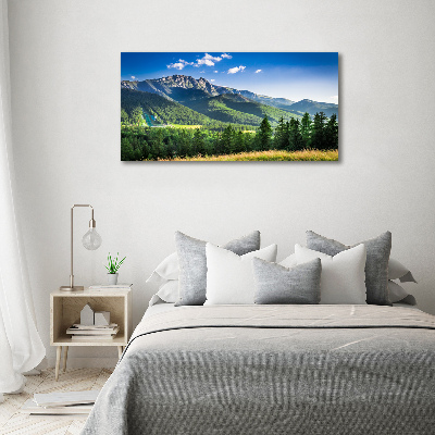 Print on acrylic Hill in the Tatra Mountains