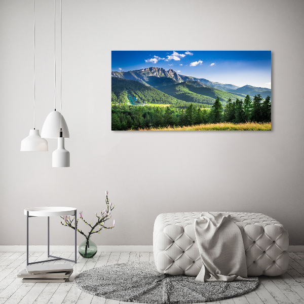 Print on acrylic Hill in the Tatra Mountains