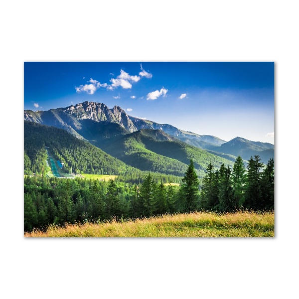 Print on acrylic Hill in the Tatra Mountains