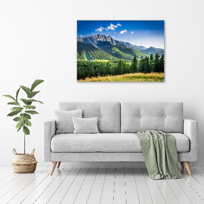 Print on acrylic Hill in the Tatra Mountains