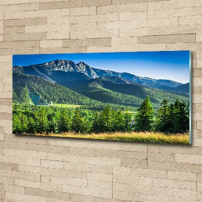 Print on acrylic Hill in the Tatra Mountains