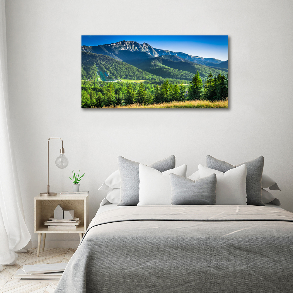 Print on acrylic Hill in the Tatra Mountains