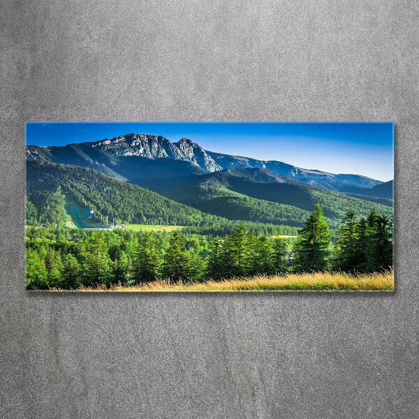 Print on acrylic Hill in the Tatra Mountains