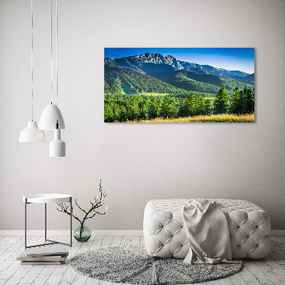 Print on acrylic Hill in the Tatra Mountains