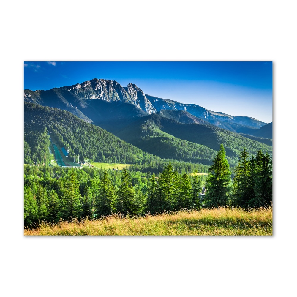 Print on acrylic Hill in the Tatra Mountains