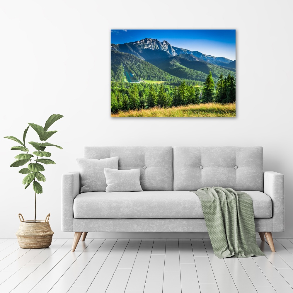 Print on acrylic Hill in the Tatra Mountains