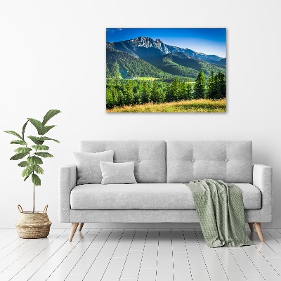 Print on acrylic Hill in the Tatra Mountains