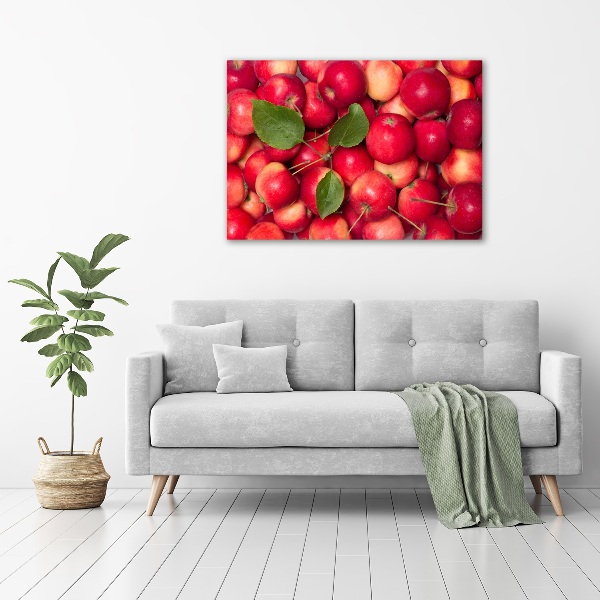 Acrylic wall art Red apples