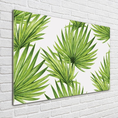 Print on acrylic Tropical leaves